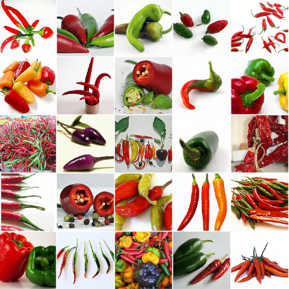 [Михайлова Ксения] Пряности и пряные травы_0.png